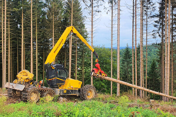 kolesovy harvestor highlander